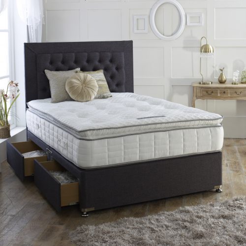 bed 5500 pro